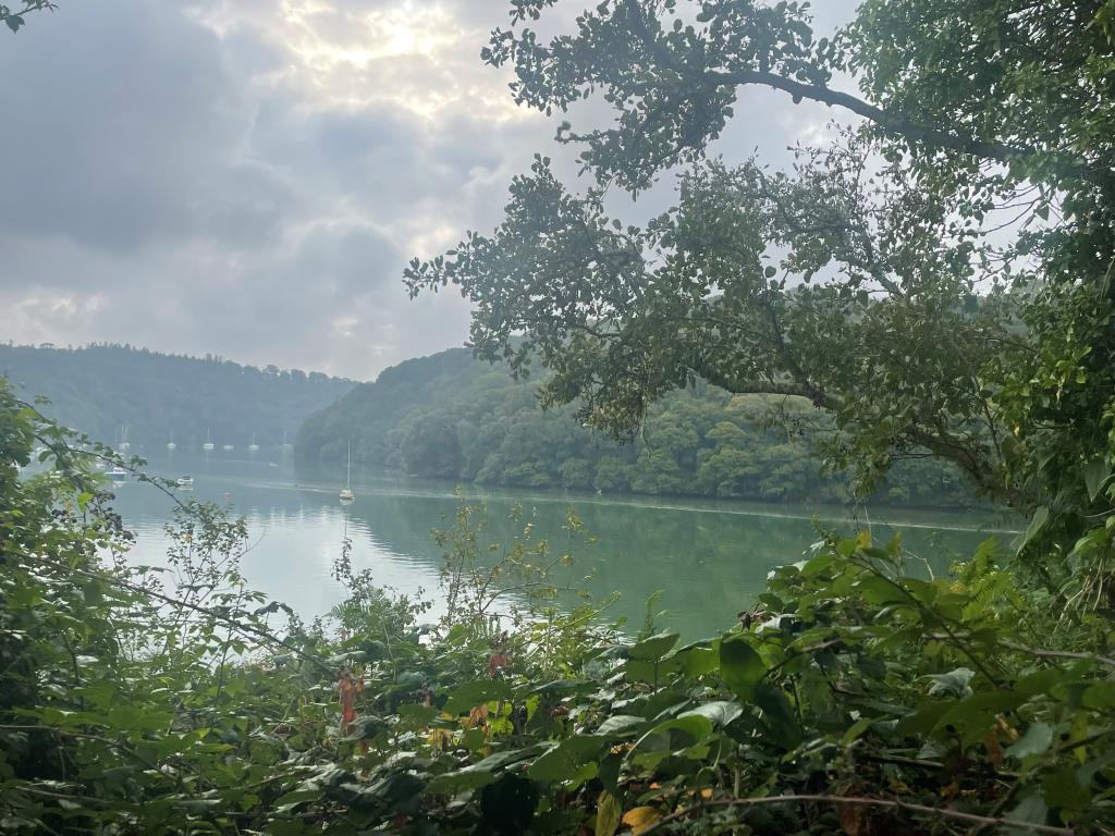 Lot: 104 - FORMER PUBLIC CONVENIENCES WITH FANTASTIC RIVER FAL VIEWS - View of River Fal from rear of site